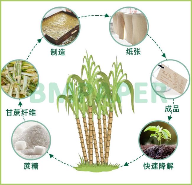 300gsm Natural Sugarcane Bagasse Pulp Paper For Hang Tags Biodegradable 700mm 300gsm Natural Sugarcane Bagasse Pulp Paper For Hang Tags Biodegradable 700mm