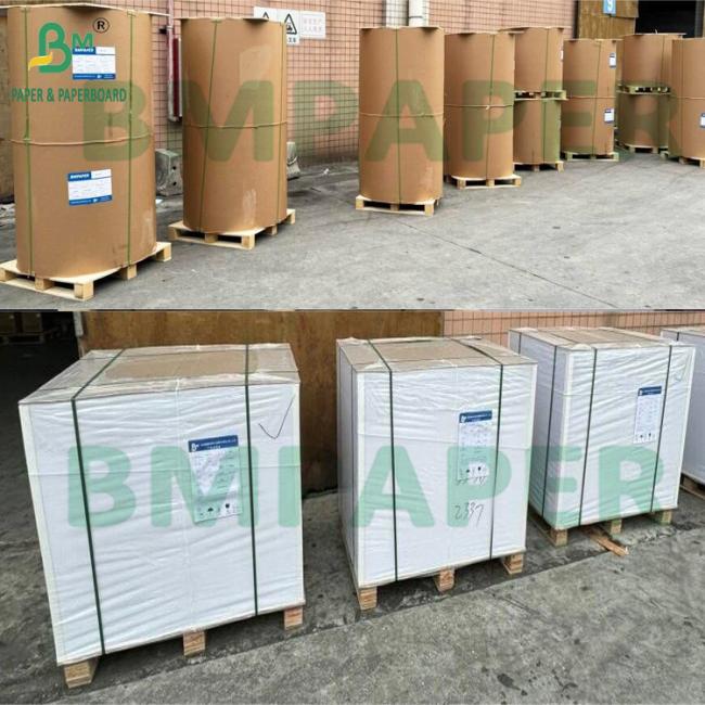 PE Coated Cupstock Paper Suitable for Hot and Cold Food Beverage PE Coated Cupstock Paper Suitable for Hot and Cold Food Beverage