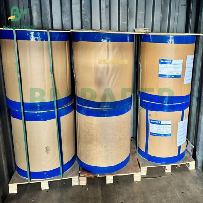 55gsm 790mm 795mm Receipt Thermal Paper Jumbo Roll 55gsm 790mm 795mm Receipt Thermal Paper Jumbo Roll