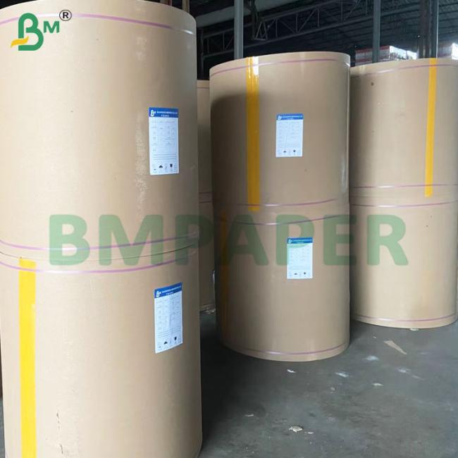 135-350 GSM High Stiffness Food Container Paper Roll for Paper Bowl 135-350 GSM High Stiffness Food Container Paper Roll for Paper Bowl