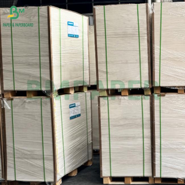 255gsm + 15g PE Coated Frozen Food Grade Paper For Supermarket Moisture proof 255gsm + 15g PE Coated Frozen Food Grade Paper For Supermarket Moisture proof