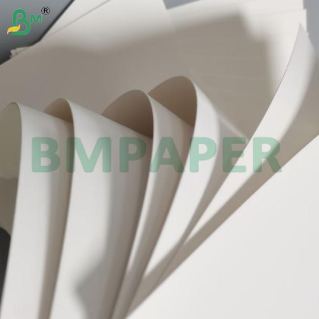 350g Coated Container Board C1S Food Grade Virgin Wood Pulp Card 350g Coated Container Board C1S Food Grade Virgin Wood Pulp Card