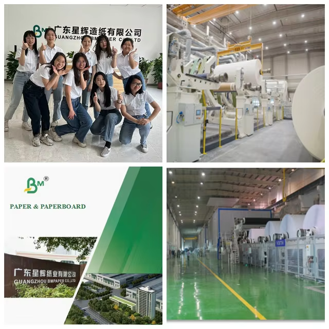 300g 350g White Coated Folding Carton Board For High-end Printing 65 x 90cm 300g 350g White Coated Folding Carton Board For High-end Printing 65 x 90cm