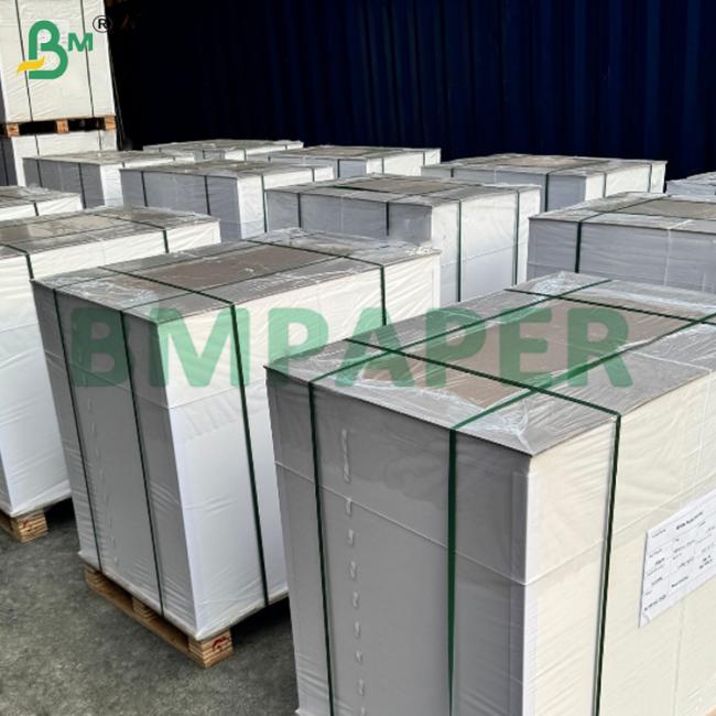 80gsm Cupcake Muffin Liner Baking Paper Food Grade 80 * 100cm 80gsm Cupcake Muffin Liner Baking Paper Food Grade 80 * 100cm