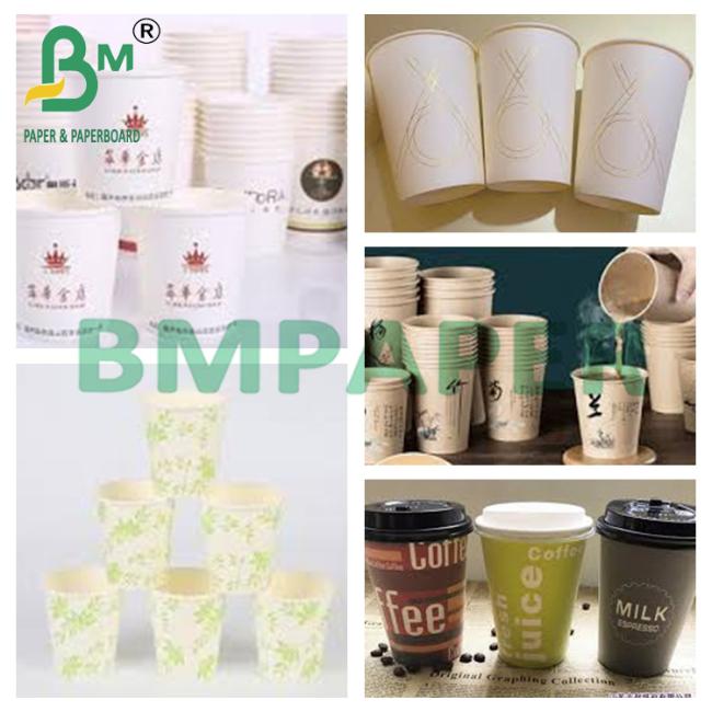 240g + 15g White Cup Stock Paper Virgin Pulp Material Food Grade Board 240g + 15g White Cup Stock Paper Virgin Pulp Material Food Grade Board