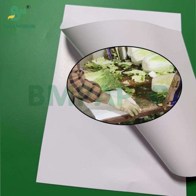 40 - 90gsm White Fruit Wrapping Paper For Grapes Vegetables Packaging Water Resistant 40 - 90gsm White Fruit Wrapping Paper For Grapes Vegetables Packaging Water Resistant