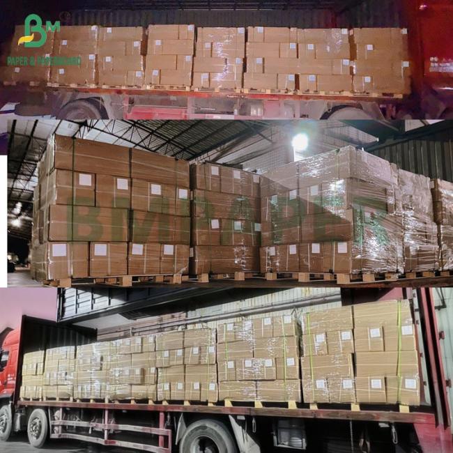 Double-Sided Matte Inkjet Paper Rolls - Premium Coated Media 108g - 220g Double-Sided Matte Inkjet Paper Rolls - Premium Coated Media 108g - 220g