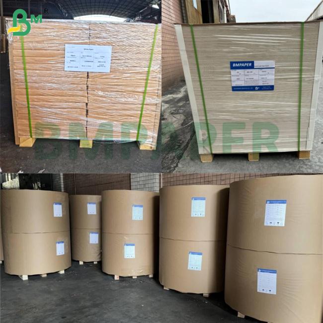 180gsm 200gsm Aqueous Plastic Free Paper Cupstock Paper Heat Resistant (120°C) For Paper Cups Bowl Takeaway Containers 180gsm 200gsm Aqueous Plastic Free Paper Cupstock Paper Heat Resistant (120°C) For Paper Cups Bowl Takeaway Containers