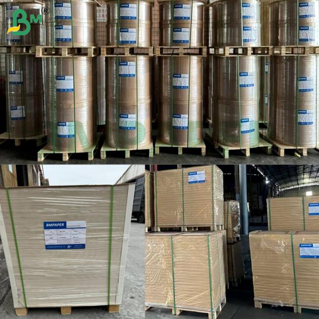 300gsm 310g 320g Smooth High Stiffness Blister White Cardboard for Gift Box Insert Electronics Packaging 300gsm 310g 320g Smooth High Stiffness Blister White Cardboard for Gift Box Insert Electronics Packaging