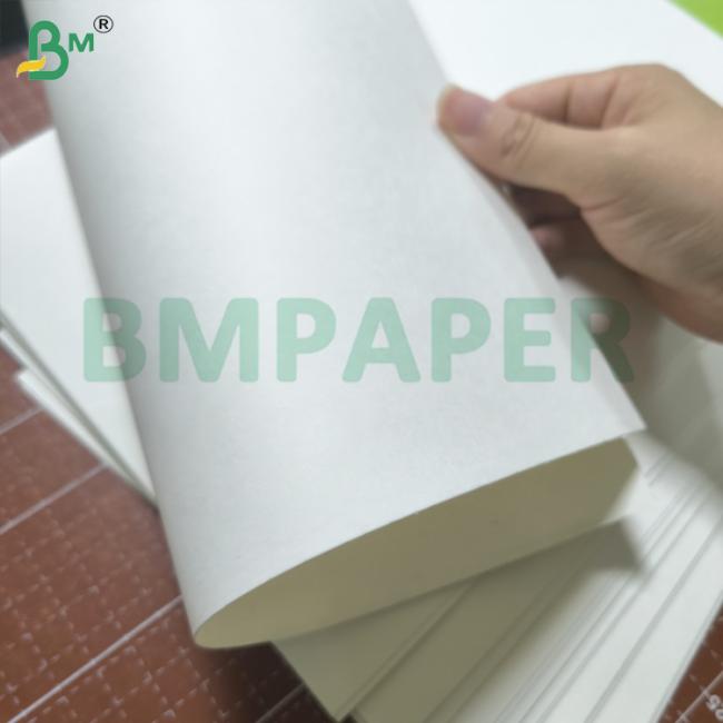 280gsm 300gsm White Bowl / Soup Container Base Paper Coating And Uncoated 280gsm 300gsm White Bowl / Soup Container Base Paper Coating And Uncoated
