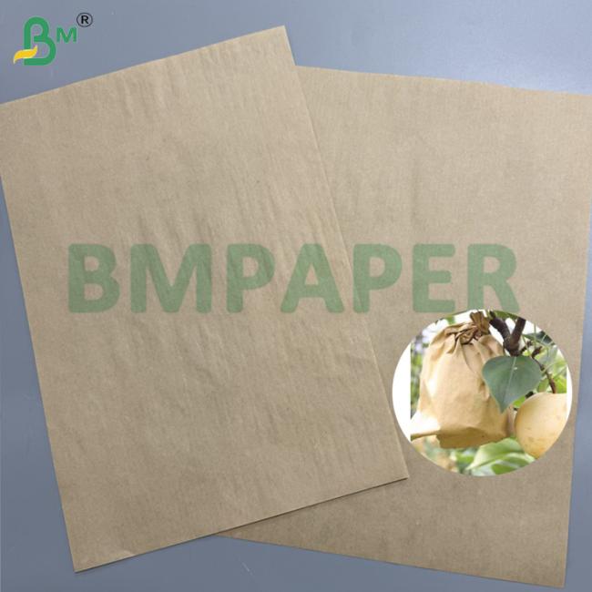 55g 80g Brown Kraft Fruit Bagging Paper UV & Pest Protection For Peaches/Pears 55g 80g Brown Kraft Fruit Bagging Paper UV & Pest Protection For Peaches/Pears
