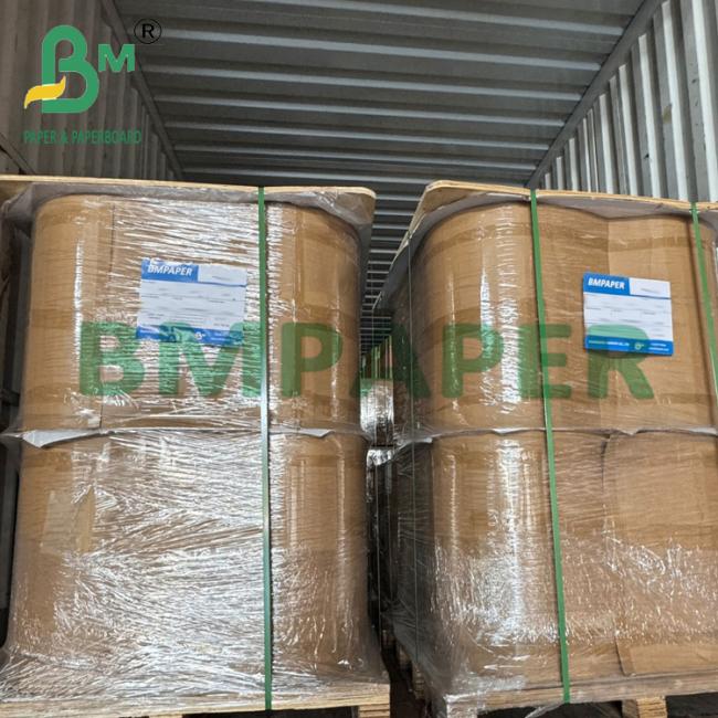 50gsm Heat Seal Food Grade Brown Filter Paper Roll For Coffee 50gsm Heat Seal Food Grade Brown Filter Paper Roll For Coffee