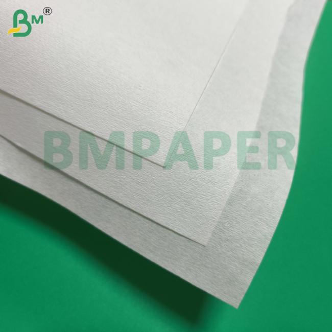 Bleached Porous Filter Paper For Pour - Over, Drip and Espresso Mahines Bleached Porous Filter Paper For Pour - Over, Drip and Espresso Mahines