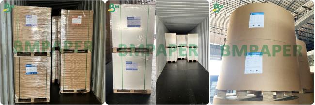 Bleached Porous Filter Paper For Pour - Over, Drip and Espresso Mahines Bleached Porous Filter Paper For Pour - Over, Drip and Espresso Mahines
