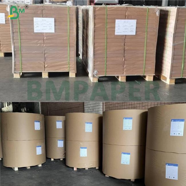 25g Natural White High Porosity Coffee Filter Paper 600mm In Roll 25g Natural White High Porosity Coffee Filter Paper 600mm In Roll