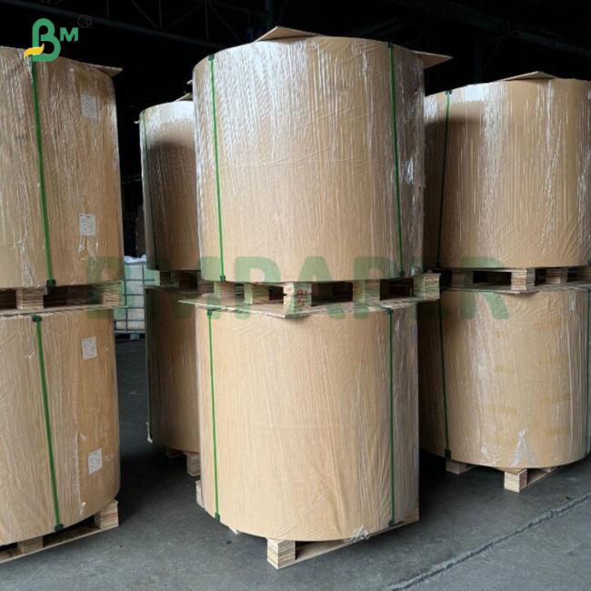 25g Natural White High Porosity Coffee Filter Paper 600mm In Roll 25g Natural White High Porosity Coffee Filter Paper 600mm In Roll