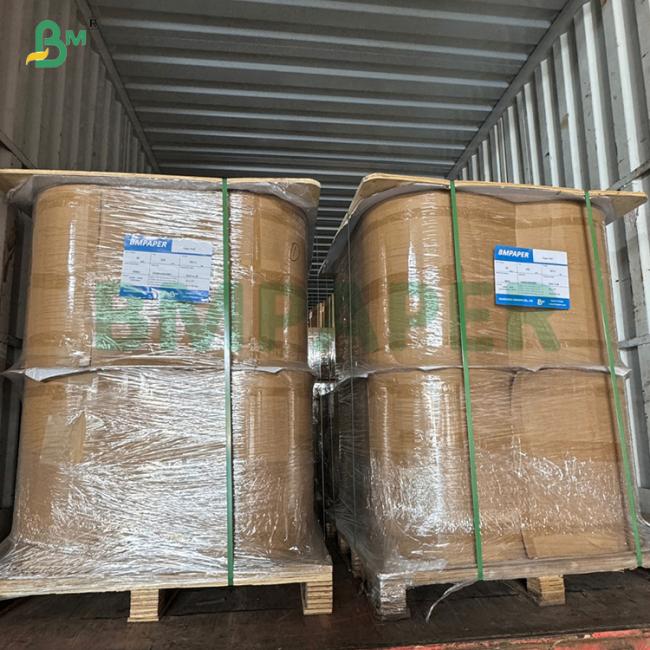 50gsm Bleached Porous Filter Paper For Electric Drip Coffee Makers 50gsm Bleached Porous Filter Paper For Electric Drip Coffee Makers