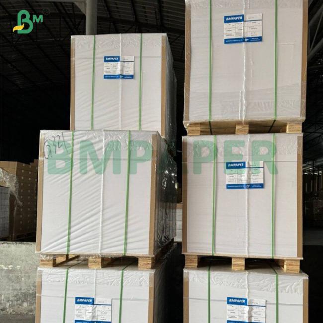 50gsm Bleached Porous Filter Paper For Electric Drip Coffee Makers 50gsm Bleached Porous Filter Paper For Electric Drip Coffee Makers