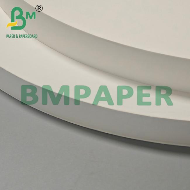 Packaged kraft paper rolls ready for shipment