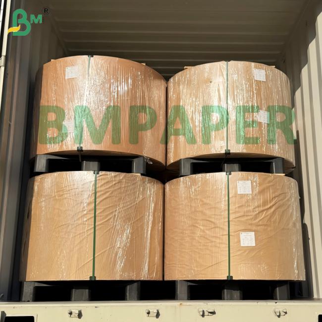 Virgin Fibre Cartonboard with Grease Barrier 245gsm Excellent Printability Virgin Fibre Cartonboard with Grease Barrier 245gsm Excellent Printability