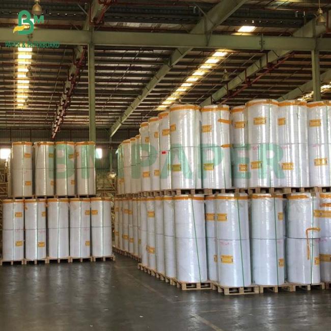80GSM 90GSM Top Coated Direct Thermal Paper Cash Register Rolls 490MM 80GSM 90GSM Top Coated Direct Thermal Paper Cash Register Rolls 490MM
