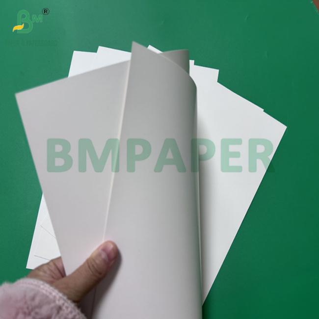210gsm 230gsm High Strength Tobacco Board For Cigar Package 21.25" x 38.625" 210gsm 230gsm High Strength Tobacco Board For Cigar Package 21.25" x 38.625"