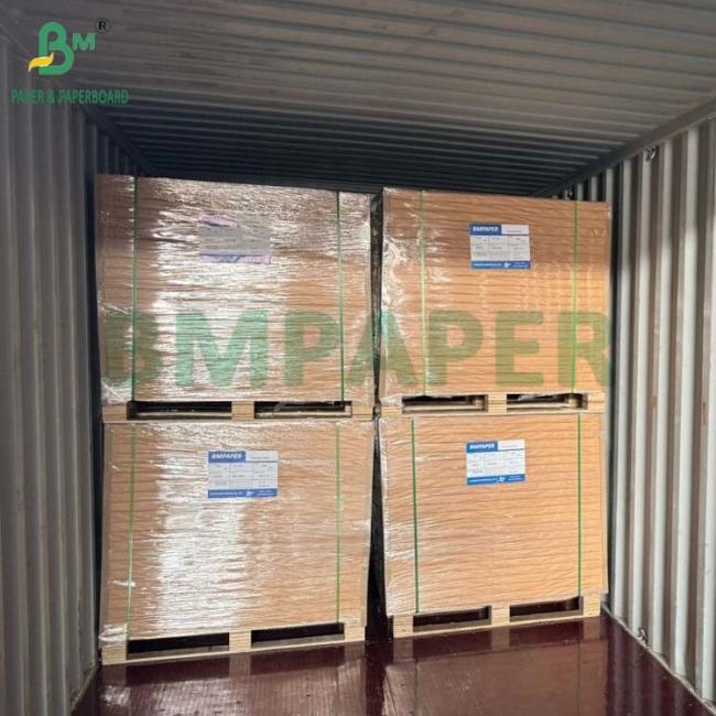 30.75" x 24.75" C1S FBB Tobacco Board 210GSM 230GSM For Packaging Boxes