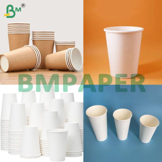 190-350gsm + PE Coated Cup Stock Paper Sheets Leak Resistant 190-350gsm + PE Coated Cup Stock Paper Sheets Leak Resistant
