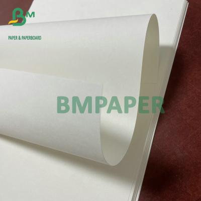 China Super Soft Hi - bulky Book Paper 65g 75g In Reels for Children Books for sale