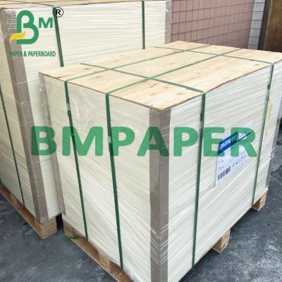 China Food Grade Single Or Double Side Coated PE Cupstock Paper For Soda Cups for sale