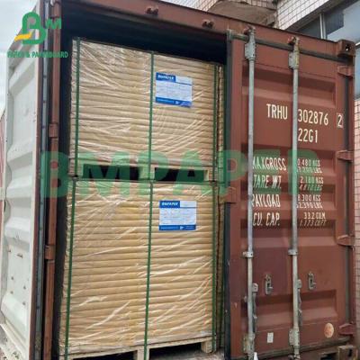 China Fibras recicladas Cana-de-açúcar versus pasta de madeira Papel de cana-de-açúcar para fabricação de copos à venda