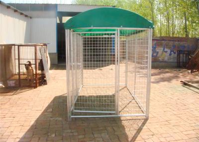 China chain link dog kennels for sale