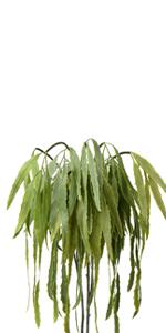 eucalyptus centerpieces
