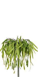 eucalyptus faux plant