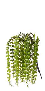 artificial eucalyptus stems
