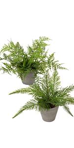 artificial plants
