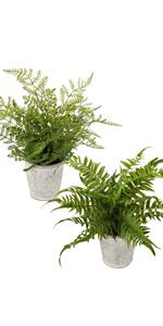 faux plant fern