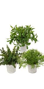 faux plants indoor