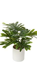 fake plant decor