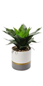 fake desk plants