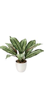 artificial small plants