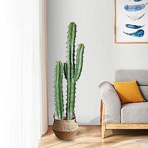 Artificial Cactus