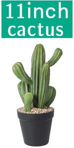 Artificial Cactus