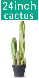 Artificial Cactus