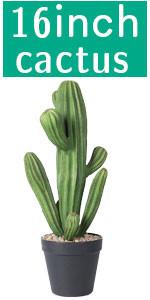 Artificial Cactus