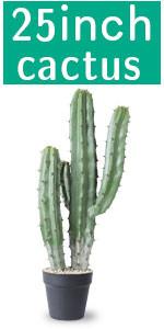 Artificial Cactus