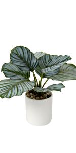 faux plant