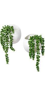 wall planter with plant