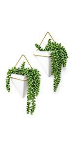 wall planter