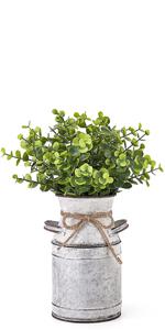 flower vase